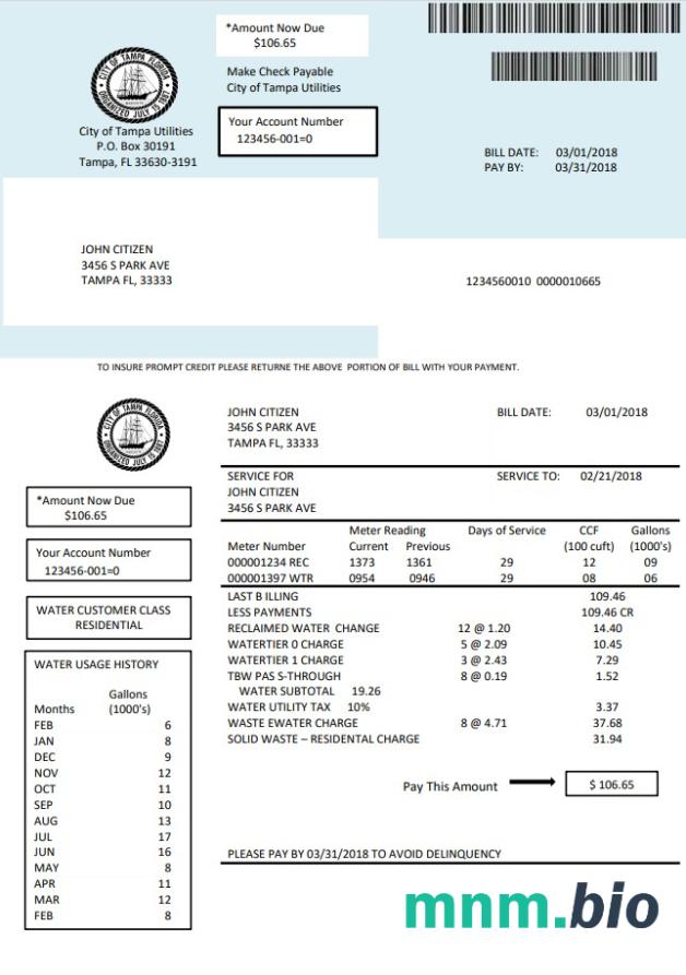 Szablon rachunku za media wodne w USA na Florydzie w formacie Word i PDF